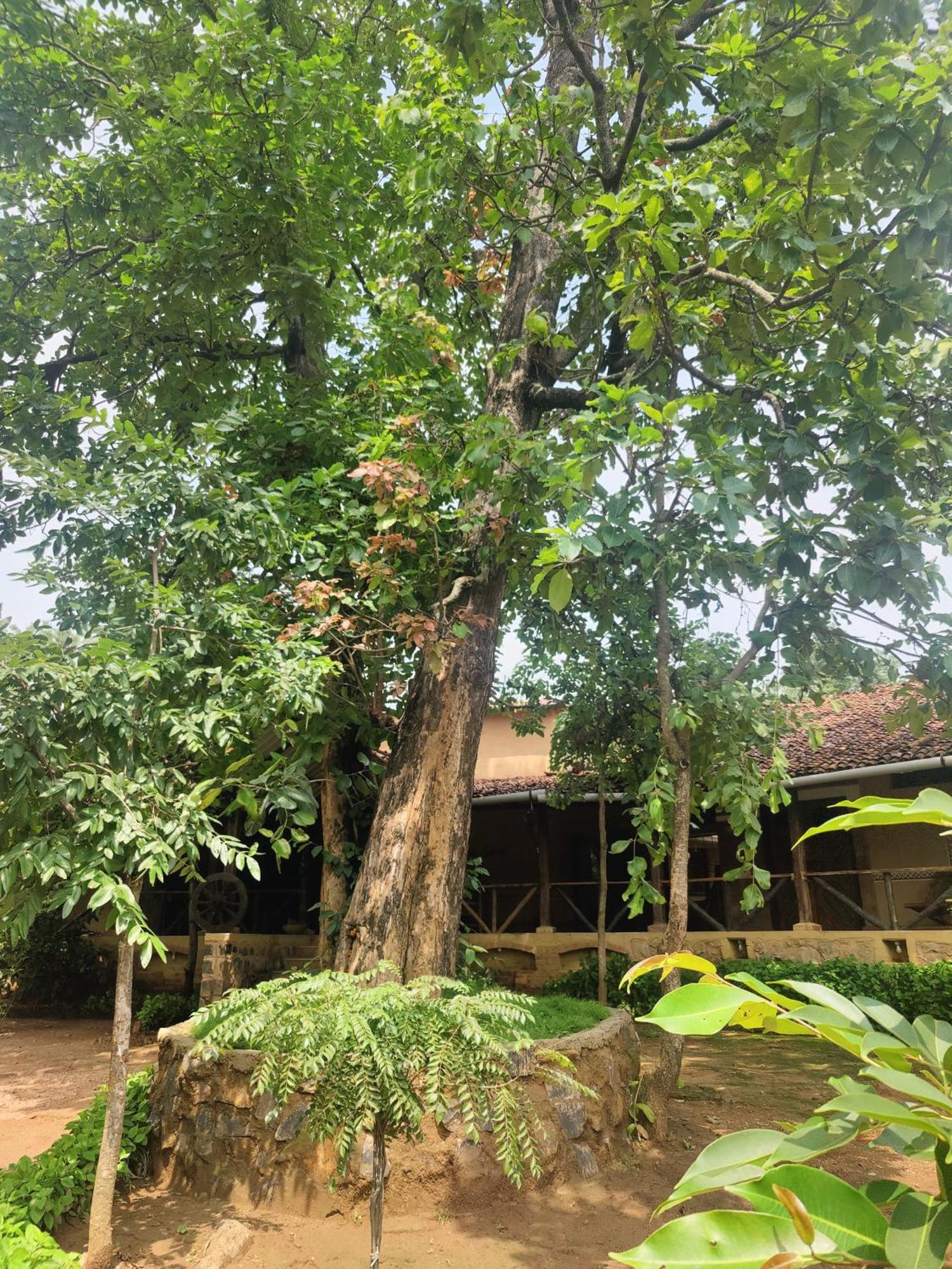 Surwahi Social Ecoestate Kānha Extérieur photo